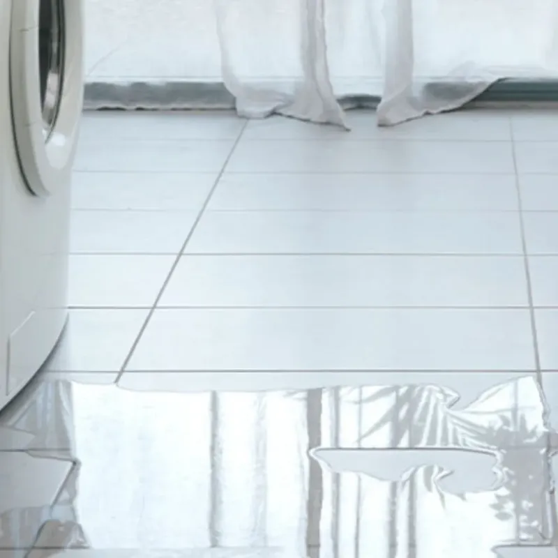 Appliance Leak Cleanup in Star Valley, AZ